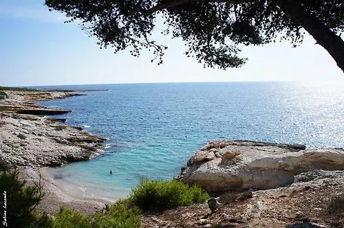 Bord De Mer, Villa 4 Chambres, Grand Jardin Martigues