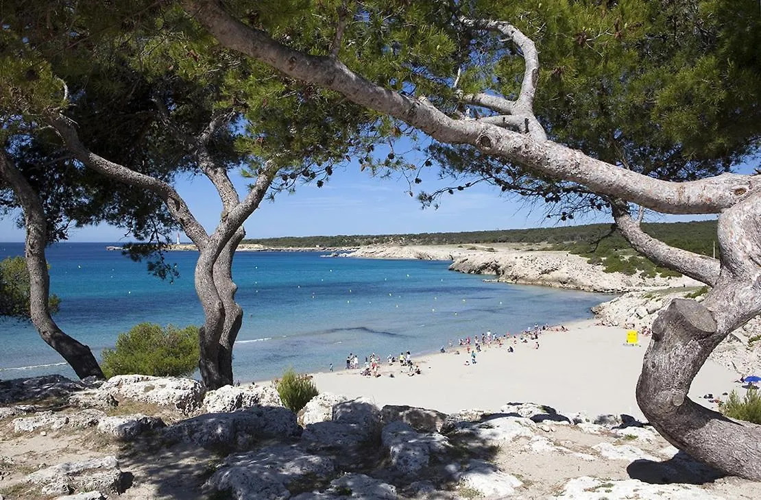 Bord De Mer, Villa 4 Chambres, Grand Jardin Martigues France